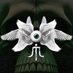 Stem The Lynching (@stemthelynching) Twitter profile photo Stem The Lynching (@stemthelynching) Twitter profile photo