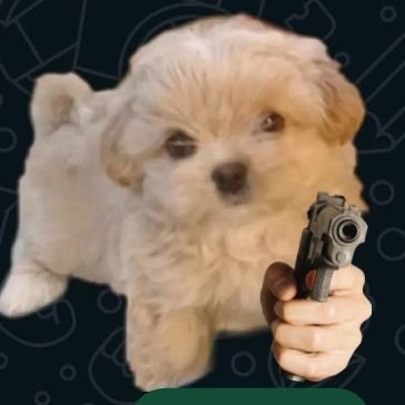 iLauIdk's profile picture. 👁️