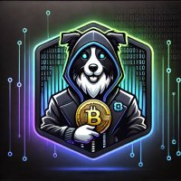 Coiinhunterr (@coiinhunterr) 's Twitter Profile