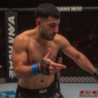 lwn (@nawelnvm) 's Twitter Profile