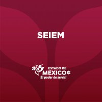 SEIEM (@seiem_) 's Twitter Profile