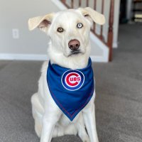 Kasey Lyle Henderson (@kasey__hendo) 's Twitter Profile