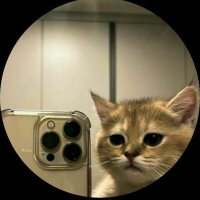 sam (@iamsammyyoung_) 's Twitter Profile Photo sam (@iamsammyyoung_) 's Twitter Profile Photo