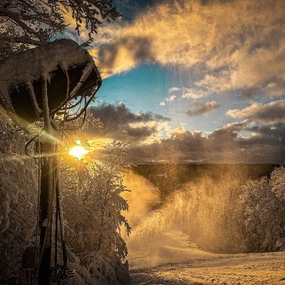 ggrodsin's profile picture. 