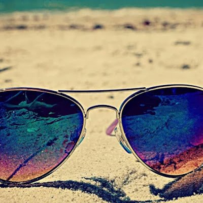 headge_trades's profile picture. 