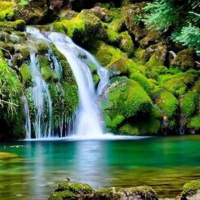 2Oboystore33763's profile picture. 