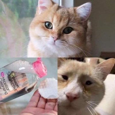 Axyz82's profile picture. 