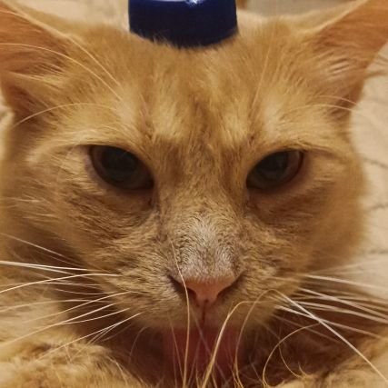 N1C0122's profile picture. 