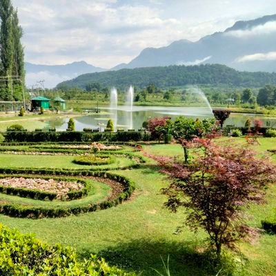 waheed_aleem's profile picture. 