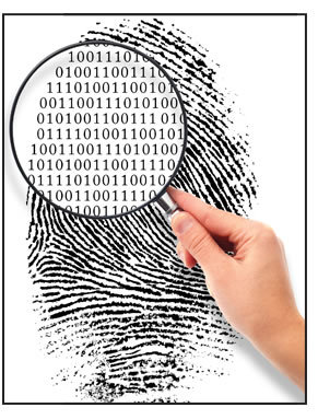chrispgn's profile picture. Digital Evidence Examiner