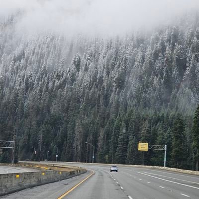 Cesar96224385's profile picture. 