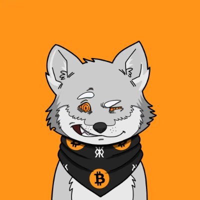 marcosshishido's profile picture. 