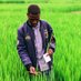 Umuhinzi nyawe🌽🌱⛏️ (@enockmutambyi) Twitter profile photo Umuhinzi nyawe🌽🌱⛏️ (@enockmutambyi) Twitter profile photo