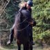 Anette Lindberg Friedrichsen (@anettefri) Twitter profile photo Anette Lindberg Friedrichsen (@anettefri) Twitter profile photo