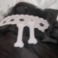 🦴𝐯𝐢𝐯𝐢. (@dollyd1ary) 's Twitter Profile