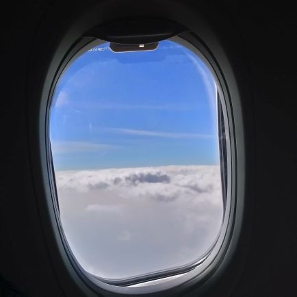 quicklook81's profile picture. 