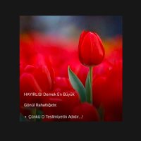 AYŞEGÜL🇹🇷 (@kayl1ayse) 's Twitter Profile