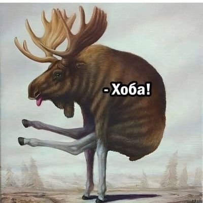 My_Lisbon_'s profile picture. Всякое бывало