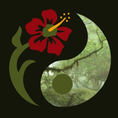 a women-centered community for those who believe in a more balanced life. or a cult.