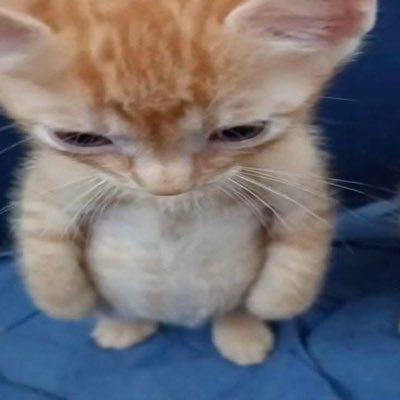 New to Web3 and NFTs. Just a girl trying to learn crypto
