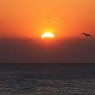 Sonrise1919's profile picture. 