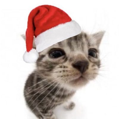 illovivacadi's profile picture. me gusta editar mierdas (cada 29 de febrero)