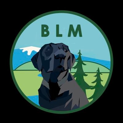 Meme Token on Algorand based on Steady the Black Lab.
Asset ID: 2589479271 (Verified)
Fair distribution via https://t.co/FEo2zW4l8g
$BLM
We love all dogs.