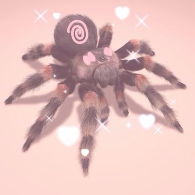 32|| 🕸️Love spiders!🕷️||FBI Forensics Specialist || Vergers DNI ||Dr.Lecter's Patient || MDNI (Hannibal/HEU OC RP account 18+) Admin: 18+