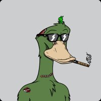 Lunatics | UNRUGGED | $QAK (@lunatics_cnft) 's Twitter Profile Photo Lunatics | UNRUGGED | $QAK (@lunatics_cnft) 's Twitter Profile Photo