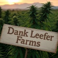 DankLeefer (@dankleefer) 's Twitter Profile