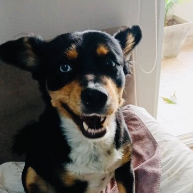 Cecix_OK's profile picture. Al lugar donde he sido feliz no debería tratar de volver