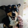 Cecix_OK's profile picture. Al lugar donde he sido feliz no debería tratar de volver