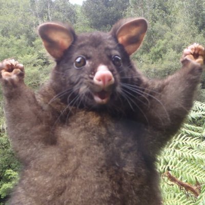 _Vincer_'s profile picture. 