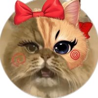 わぁたぁぁぁ🐈にゃー (@wataaaa6) 's Twitter Profile