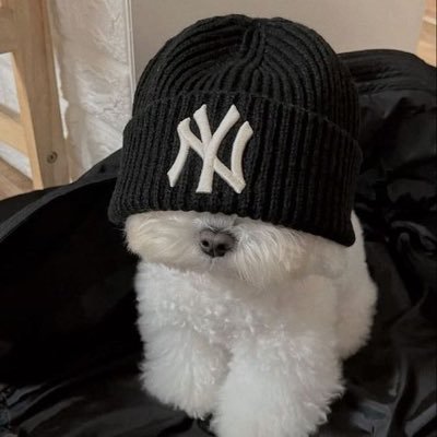_ibukunife's profile picture. web3