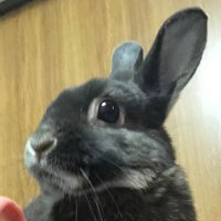 正子 耕三郎 (@tocuttynaga) 's Twitter Profile