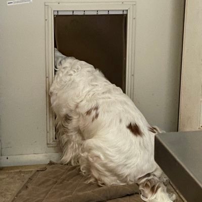 ChicDenney's profile picture. Retired Clinical Nurse Specialist. Old hippie ☮️💜. Animal lover. Book lover. Proud Conservative. Love history and coffee too 🙂.