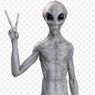 Rodrigo_Rossani's profile picture. 