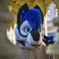 WoofAfterDusk (@woofafterdusk) 's Twitter Profile Photo