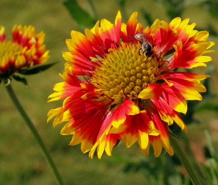 Just you'r friendly landscape architect here! What to chat with you about gardens and what makes them beautiful!