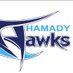 Hamady Hawks Basketball (@hamadybball) Twitter profile photo Hamady Hawks Basketball (@hamadybball) Twitter profile photo