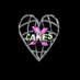 ✧・゚: *✧・゚XCAKES✧・゚: *✧・゚:* (@xcakesnyc) Twitter profile photo ✧・゚: *✧・゚XCAKES✧・゚: *✧・゚:* (@xcakesnyc) Twitter profile photo