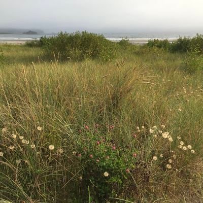 LucyKatja's profile picture. 