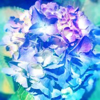 いのり (@mjs3nthafipf3dy) 's Twitter Profile