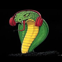 ηΌιηθπ (@king_cobra_007) 's Twitter Profile