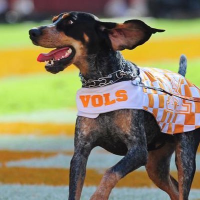 akidd1220's profile picture. Go Vols!