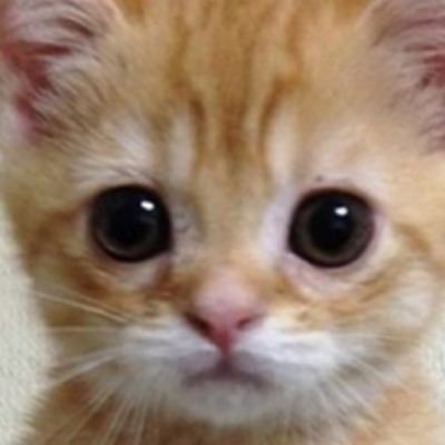 crys (ia)さんのプロフィール画像