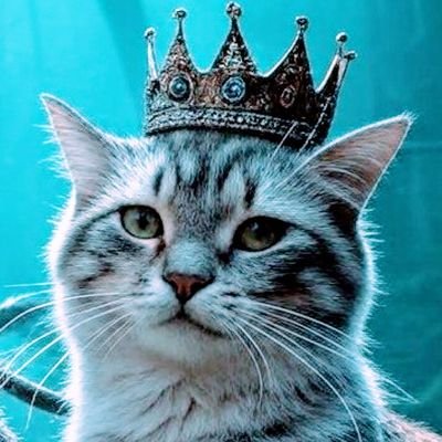 Mickey_4078's profile picture. ねこあつめ2愛好家です（もらったたからものを加工無しで載せてる方はちょっと無理かな）。ワートリ葦原先生のご快癒を祈念。コトブキ飛行隊2期を期待してます。Mリーグは箱推し（新加入がんばれ）。
アイコンはGrok製
魔除けの64天安門