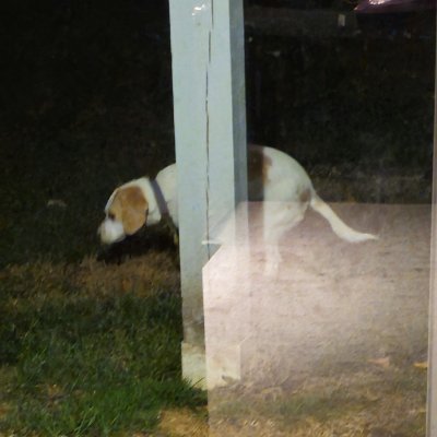 SRocky65844's profile picture. Pride is the Devil!