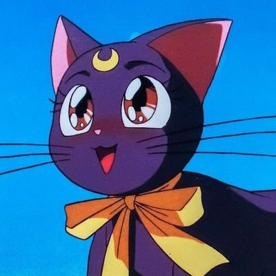 mlysxrt's profile picture. ok.